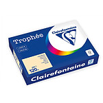 CLAIREFONTAINE Ramette Papier FSC A4 120g 250 Feuilles CHAMOIS