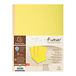 EXACOMPTA Paquet de 25 Chemise à soufflet carte 320 g/m2 Dos toilé Jaune x 10 EXACOMPTA Paquet de 25 Chemise à soufflet carte 320 g/m2 Dos toilé Jaune x 10