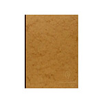 CLAIREFONTAINE Carnet broché 14,8x21 192 pages Uni tabac
