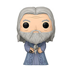 Harry Potter - Figurine POP! Dumbledore Horcruxes 9 cm