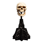 Le Seigneur des Anneaux - Statuette Skull of a Mordor Orc 14 cm