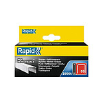 RAPID Boite de 2500 agrafes 53/6 Galvanisées RAPID Boite de 2500 agrafes 53/6 Galvanisées
