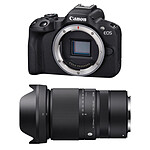 CANON EOS R50 + SIGMA 16-300mm f/3.5-6.7 DC OS Contemporary