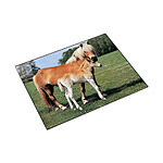LÄUFER Sous-main 3 couches 400 x 530 mm Motif Cheval et poulain
