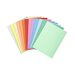 EXACOMPTA Paquet de 100 chemises SUPER 210g Teinte Assortie Pastel x 5
