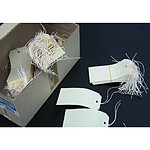 AGIPA Boite 1000 étiquettes américaines avec ficelle 100 x 51 mm