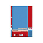 LANDRÉ Paquet de 50 Feuillets mobiles PRO TERRA 70g A4 Quadrillé perforé 2 marges