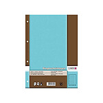 LANDRÉ Paquet de 100 Feuillets mobiles PRO TERRA 70g A4 ligné perforé