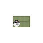 CLAIREFONTAINE Paquet de 20 enveloppes Pollen 90x140 120g, vert sauge