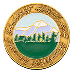 Le Seigneur des Anneaux - Pin's The Fellowship 4 cm