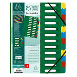 EXACOMPTA Trieur HARMONIKA® à fenêtres et élastique carte lustrée 24 comp Vert