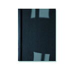 GBC Lot de 100 LinenWeave Plats de couverture thermique 15 mm noir GBC Lot de 100 LinenWeave Plats de couverture thermique 15 mm noir