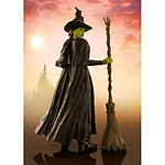 Wicked - Figurine S.H. Figuarts Elphaba 14 cm Wicked - Figurine S.H. Figuarts Elphaba 14 cm