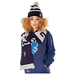 Harry Potter - Echarpe Ravenclaw Long Length