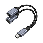 Blue Star Répartiteur USB-C Double Port avec Charge 25W et Audio DAC Noir