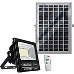 Avizar Projecteur Solaire LED 10W IP67 avec Panneau Solaire Séparé et Télécommande