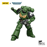 Warhammer 40k - Figurine Salamanders Intercessor 12 cm