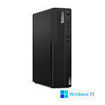 Lenovo ThinkCentre M70S SFF (Lenovo33435)