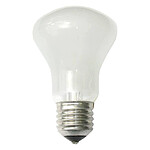 ELINCHROM LAMPE PILOTE 100W 196V E27