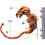 R-Type - Figurine Figma Dobkeratops 20 cm R-Type - Figurine Figma Dobkeratops 20 cm