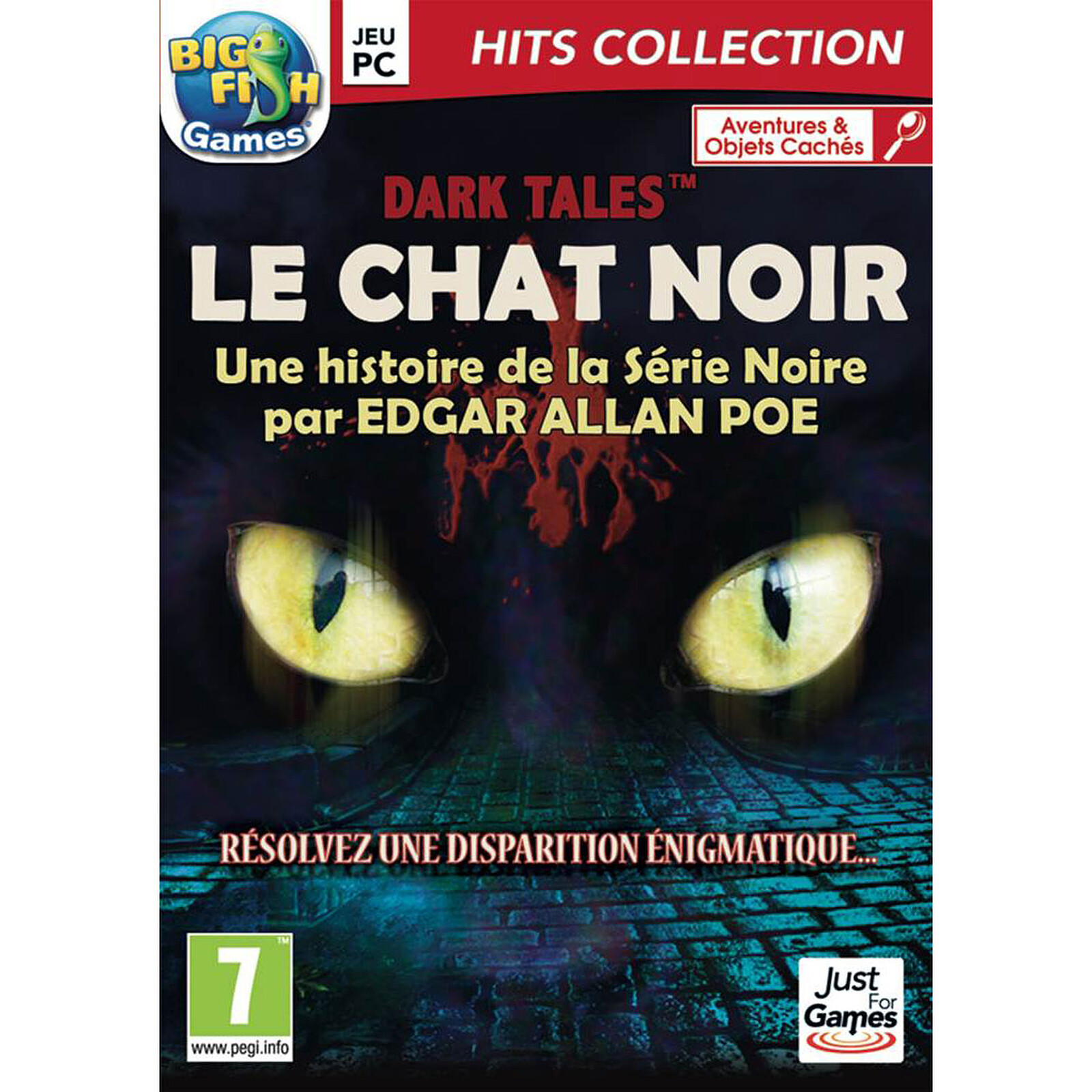 Fiche De Lecture Le Chat Noir Edgar Allan Poe