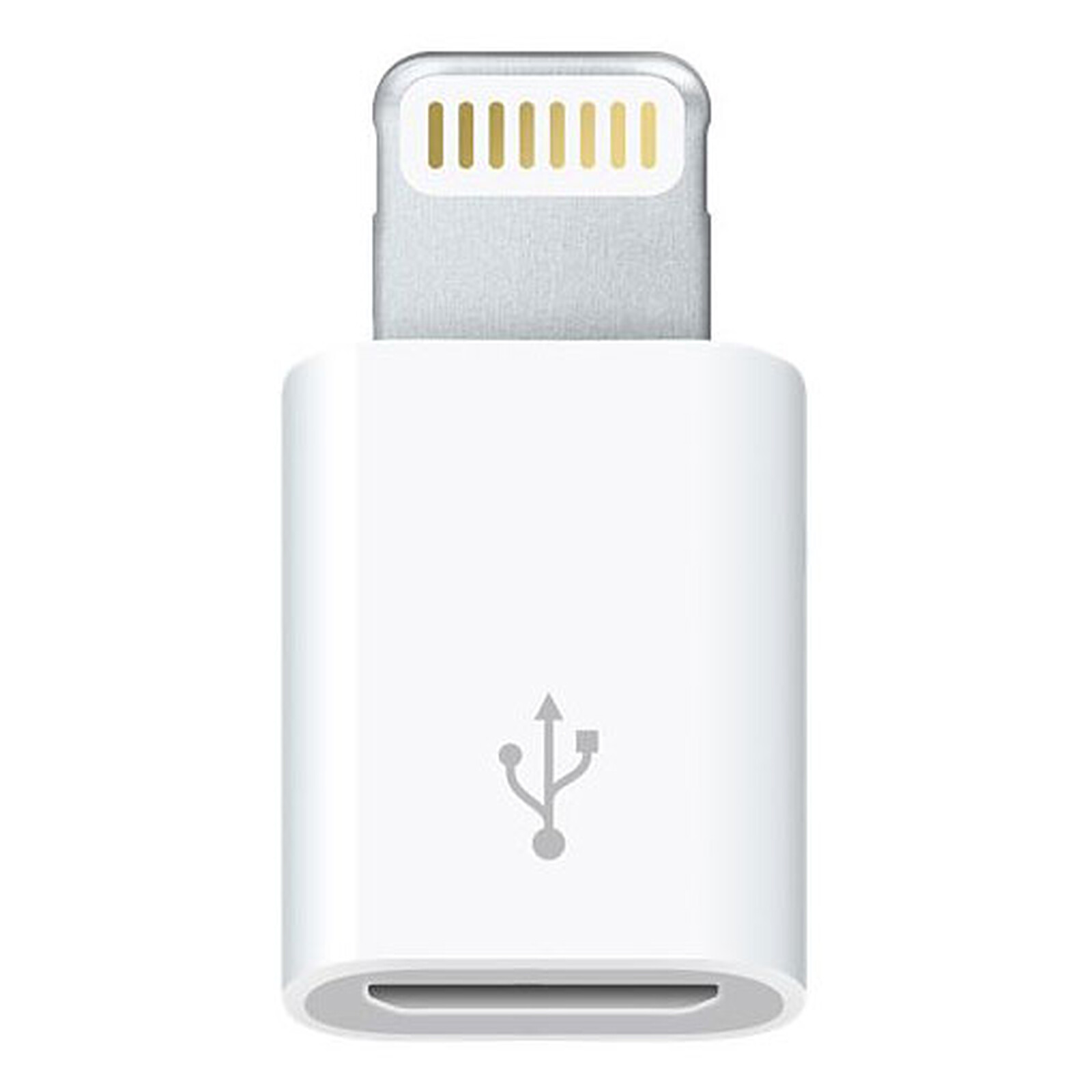 Adaptateur USB-C vers USB - Blanc APPLE