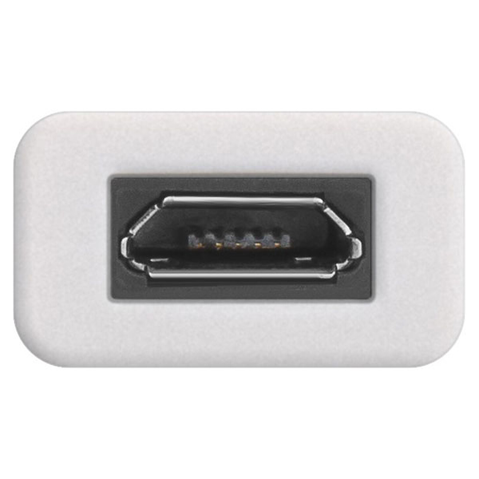 Adaptateur USB-C Mâle / Micro USB 2.0 B Femelle - USB - Garantie 3 ans LDLC
