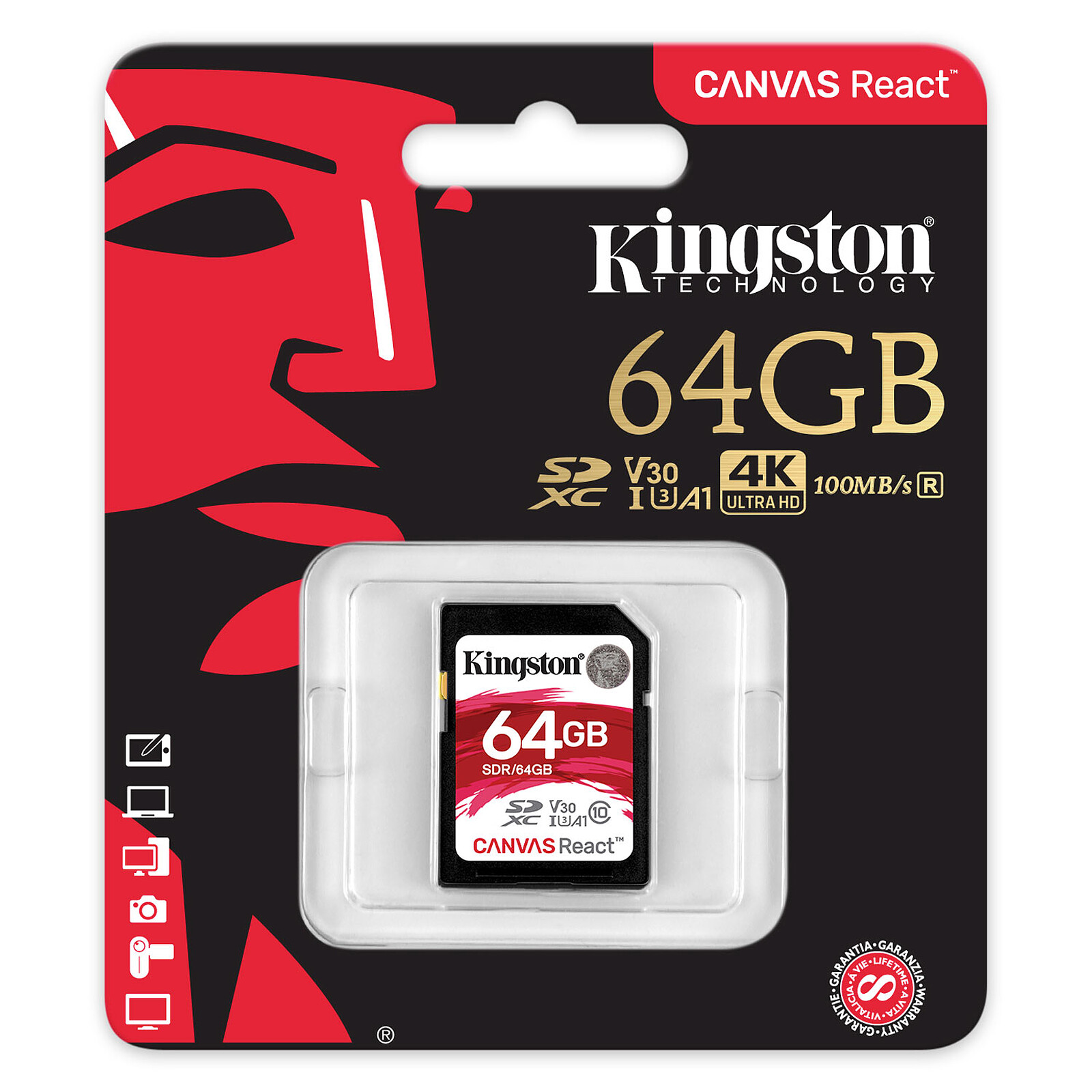 Kingston Canvas Select Plus SDCS2/256GB - Carte mémoire - LDLC