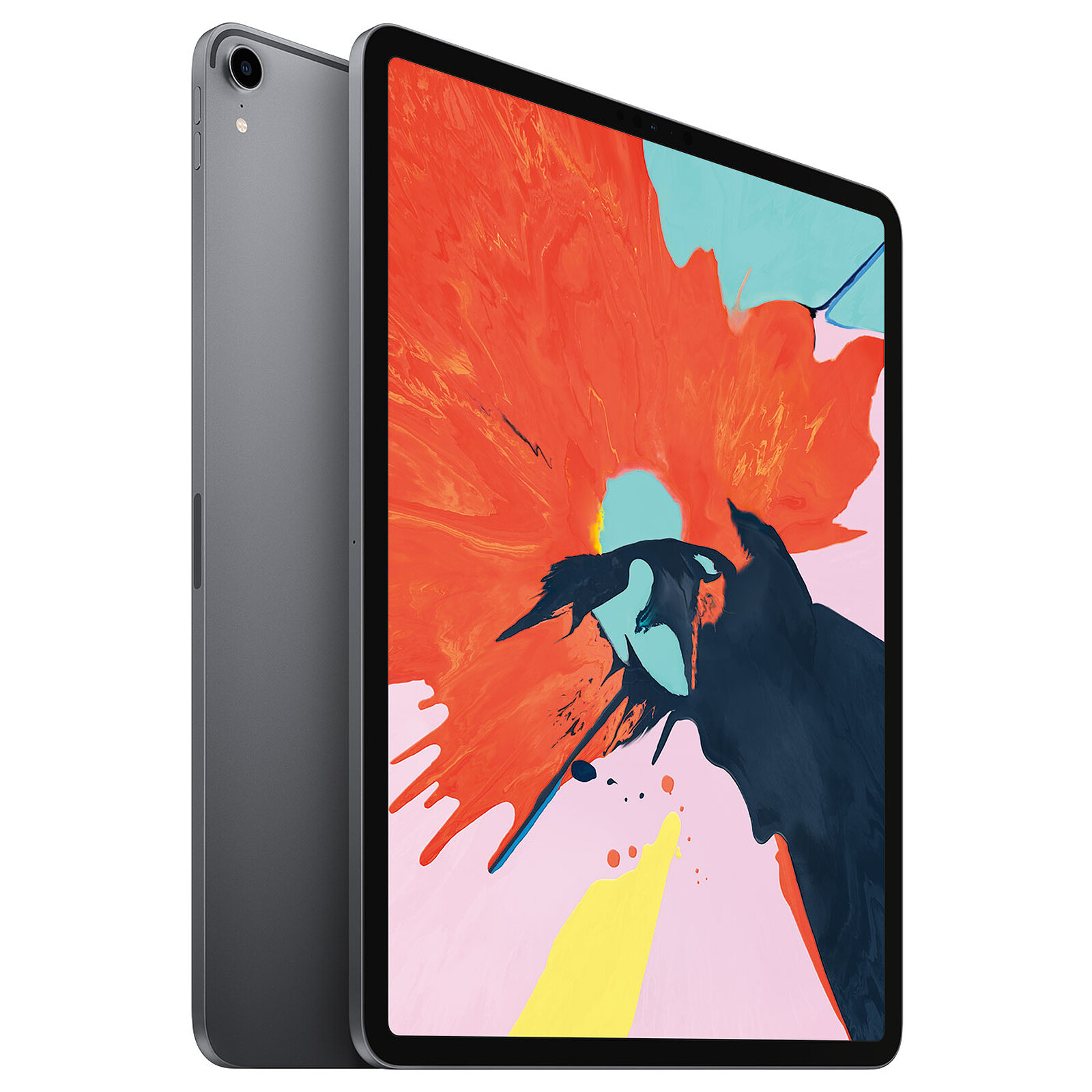 Apple iPad Pro (2018) 12.9 inch 256GB Wi-Fi Space Grey - Tablet computer  Apple on LDLC | Holy Moley