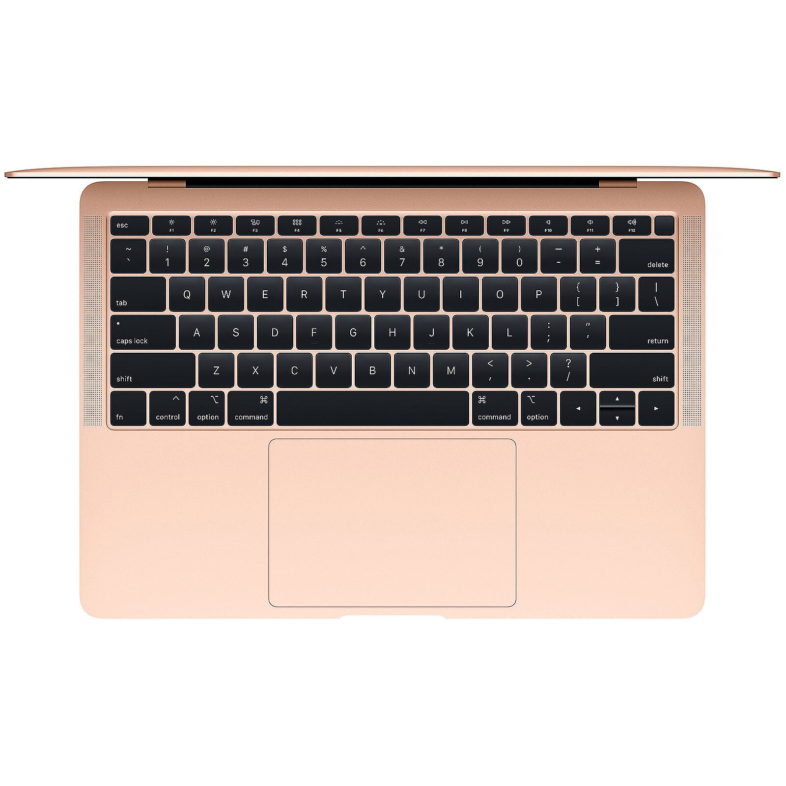 Apple MacBook Air (2019) 13 avec écran Retina True Tone Or (MVFM2FN/A) -  MacBook - Garantie 3 ans LDLC