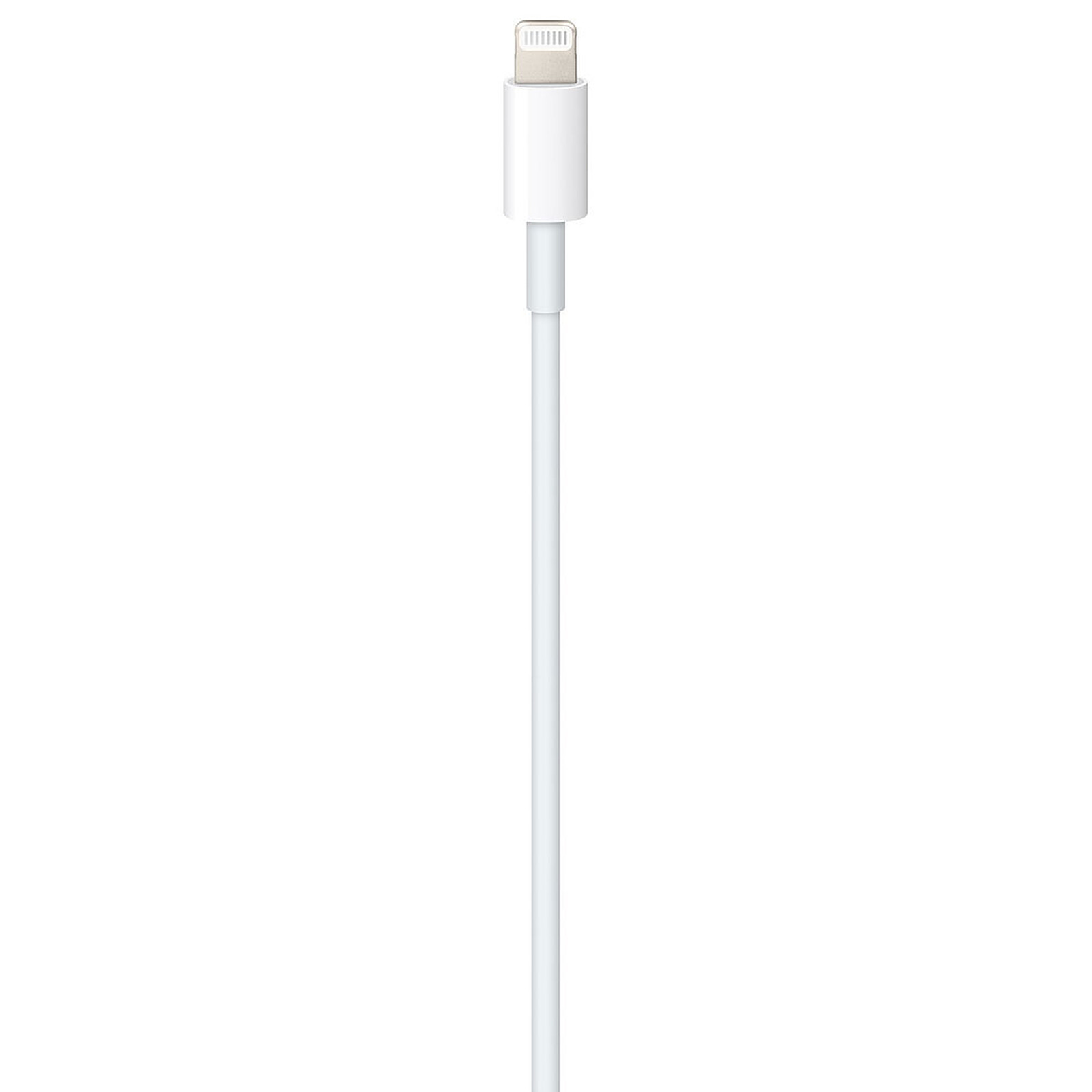 Apple Câble USB-C vers Lightning (2021) - 1 m - Accessoires Apple -  Garantie 3 ans LDLC