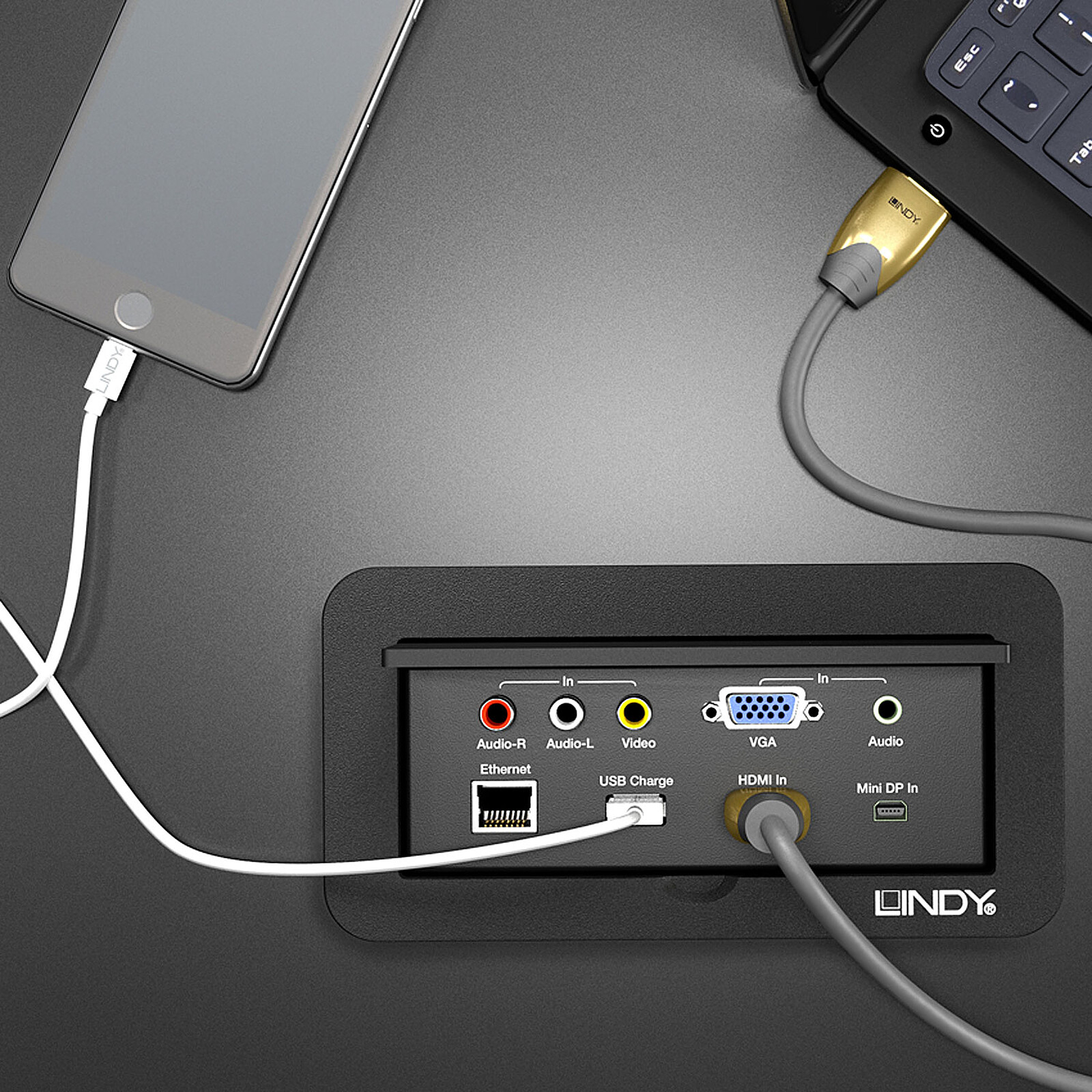 Lindy Switch In-Wall Multi AV to HDMI (4 ports) - HDMI Lindy on 