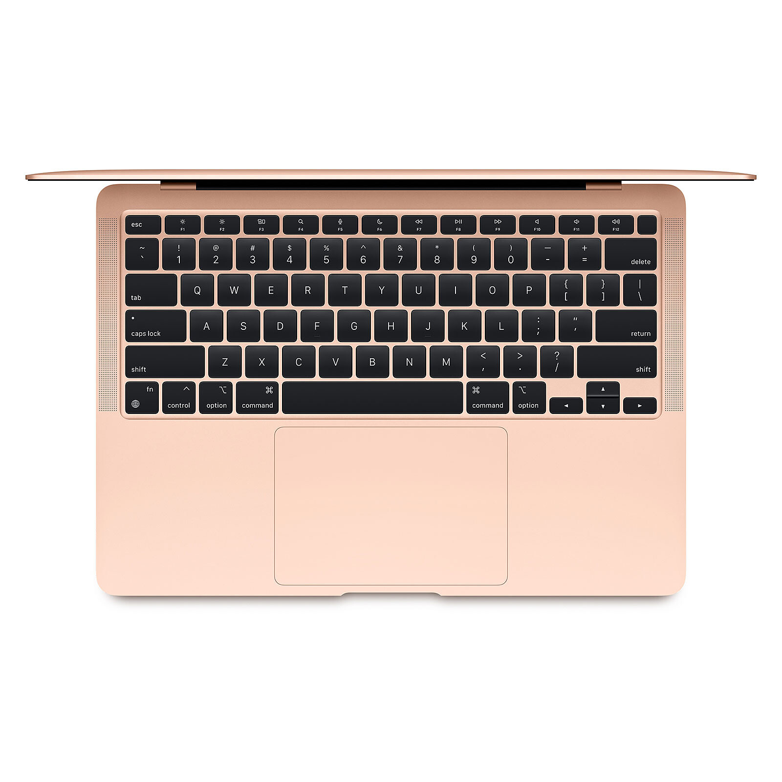 Apple MacBook Air M1 Gold 8GB/256GB (MGND3FN/A) - MacBook - LDLC 3 ...