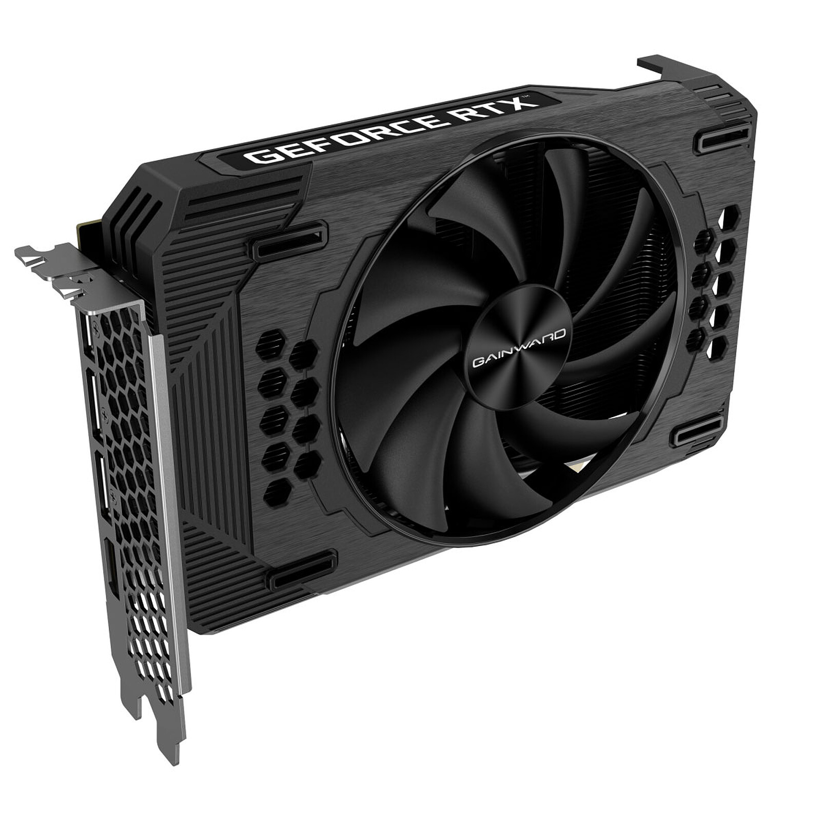 Gainward GeForce RTX 3060 Pegasus - Graphics card - LDLC 3-year