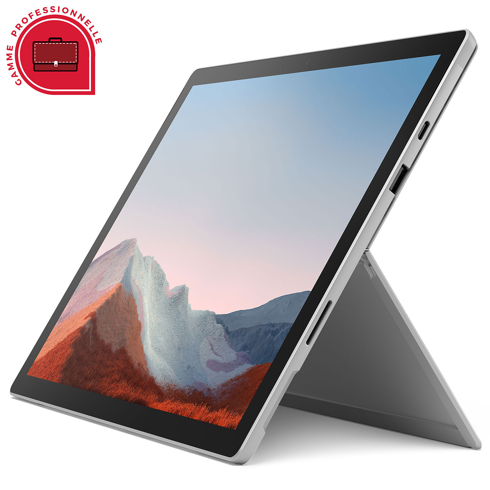Microsoft Surface Pro 9 for Business - Platine (QLQ-00004) - PC portable -  Garantie 3 ans LDLC