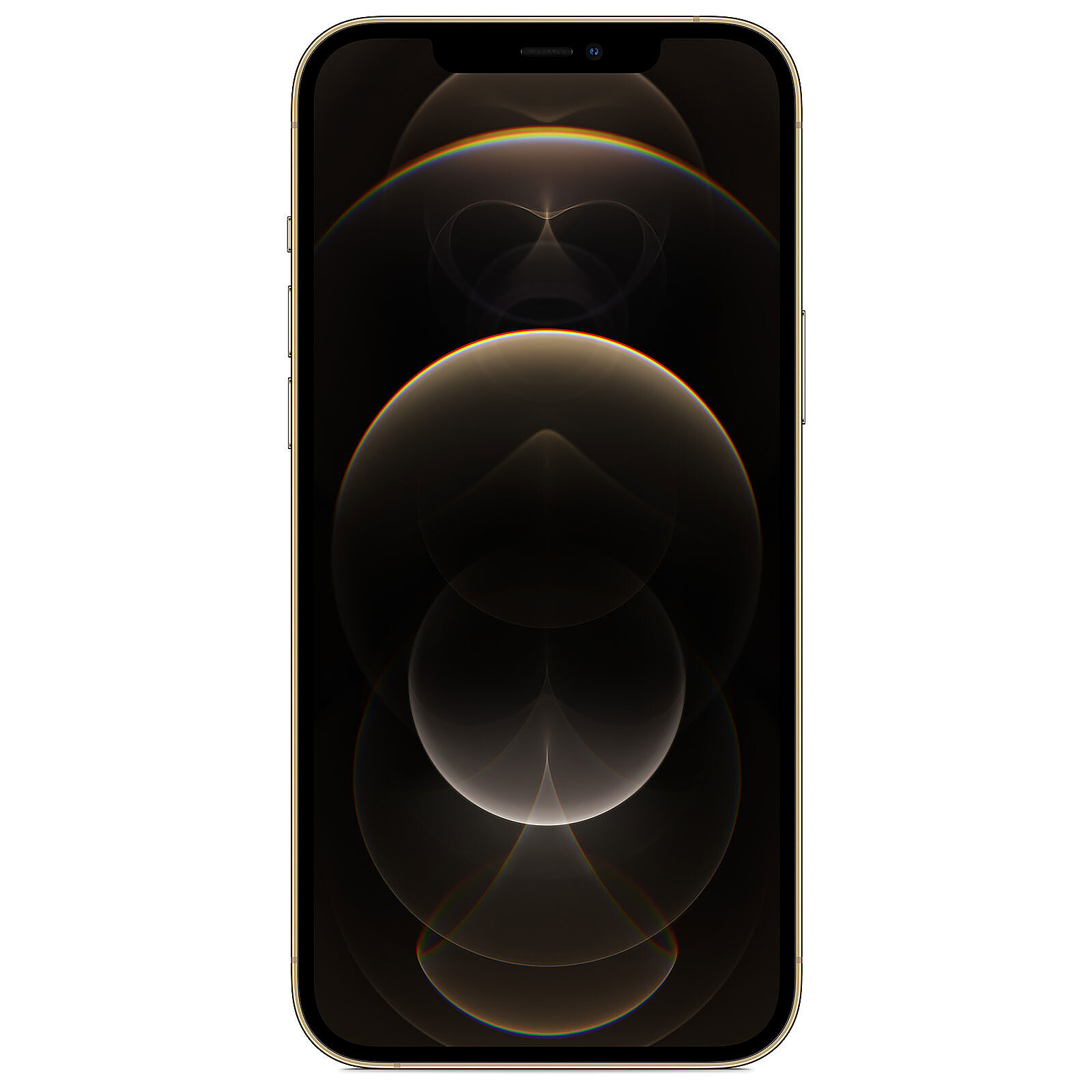  Apple - iPhone 12, 128GB, negro, operadores GSM (reacondicionado)  : Celulares y Accesorios