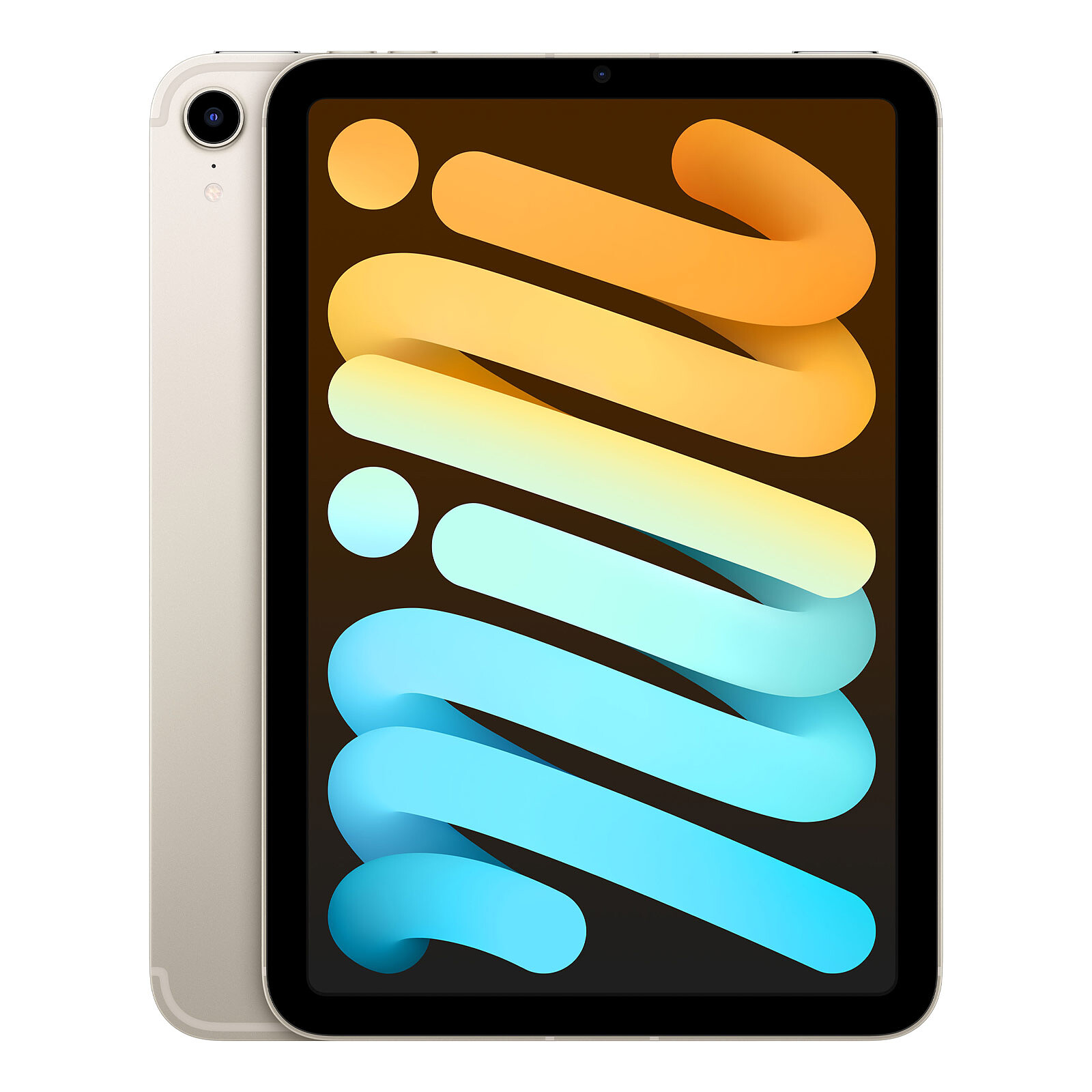 Apple iPad mini (2021) 64 Go Wi-Fi + Cellular Lumière stellaire