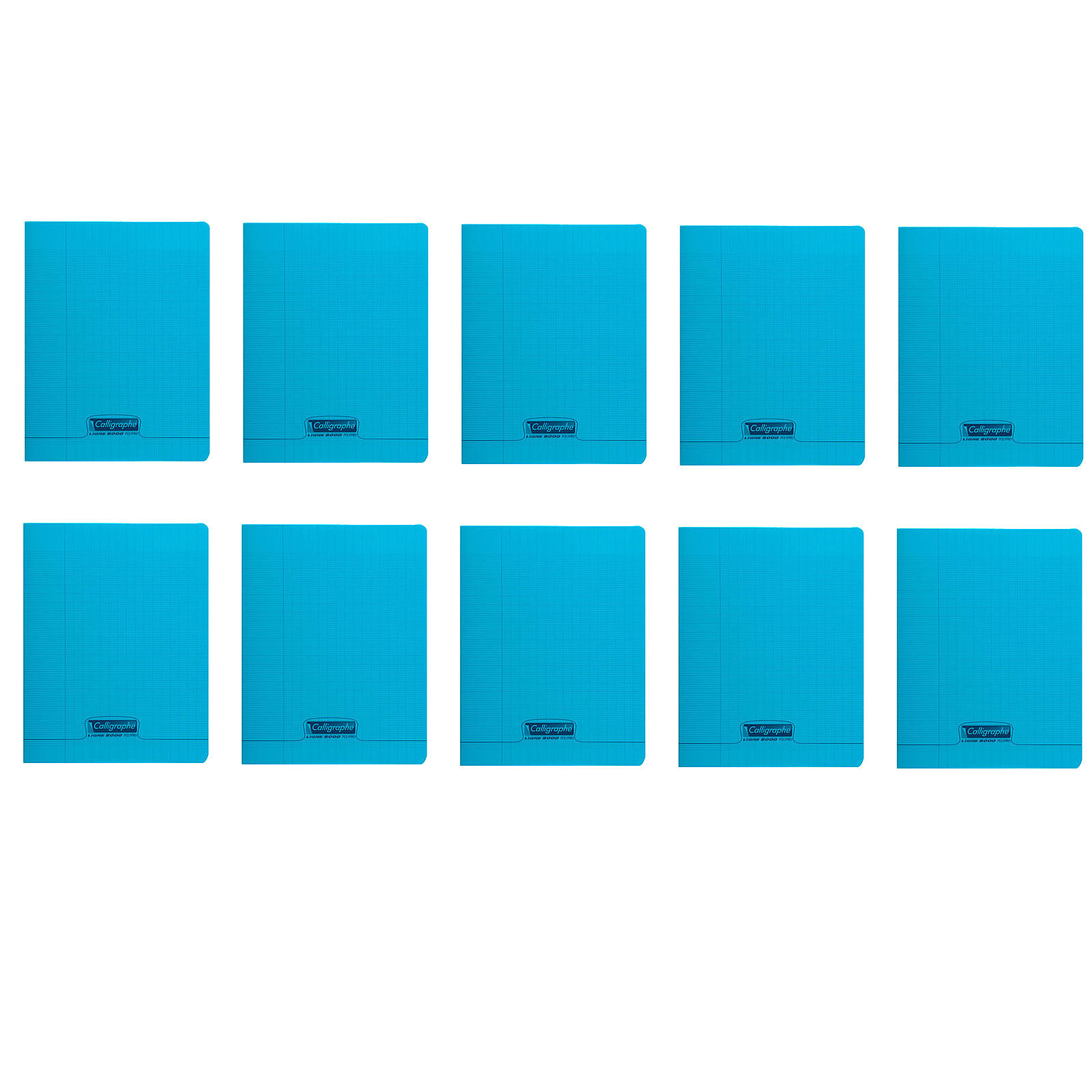 Cahier polypro Calligraphe grand format 24x32 96p petits carreaux (5x5) -  bleu