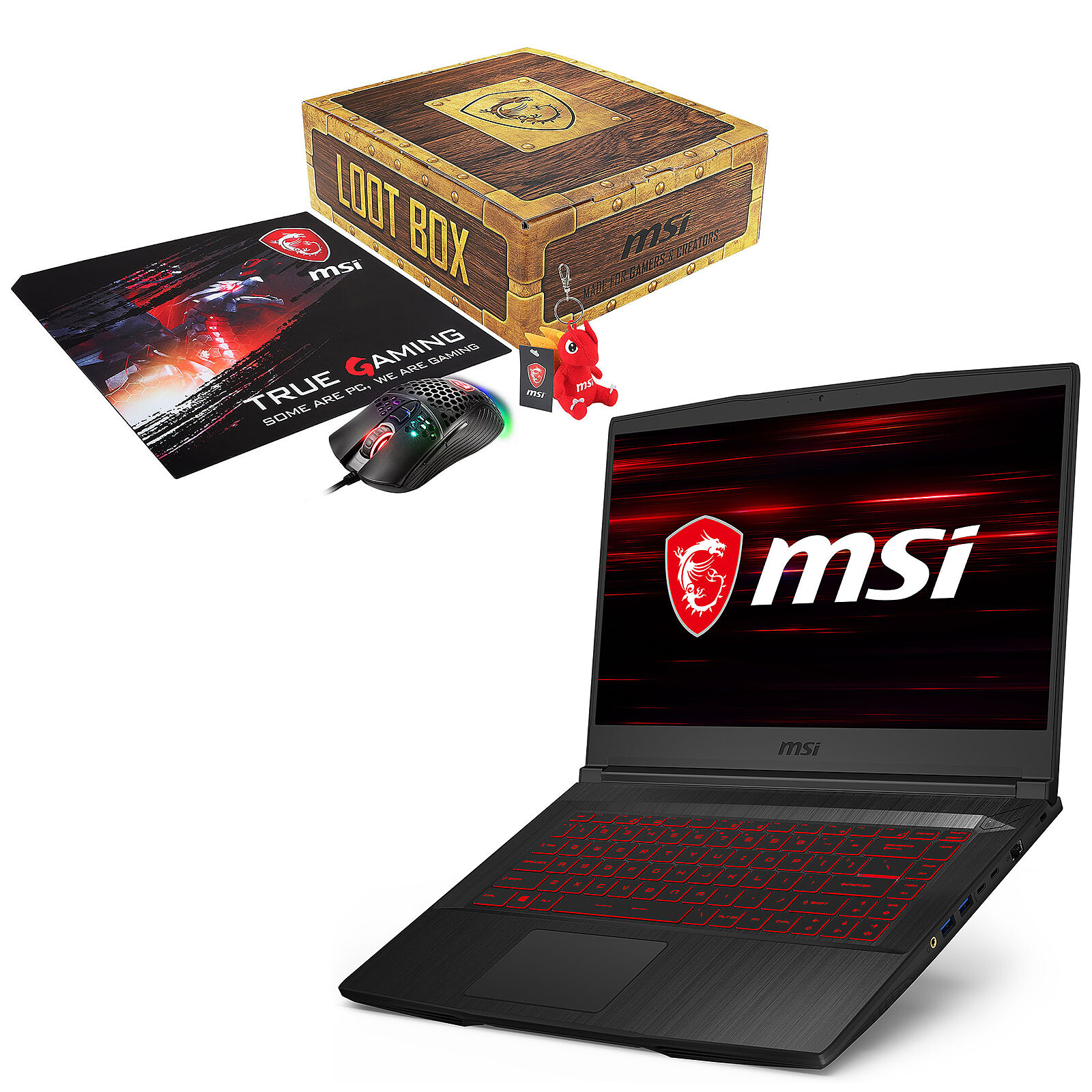 MSI GF65 Thin 10UE-284FR + MSI Loot Box Pack S FREE! - Laptop