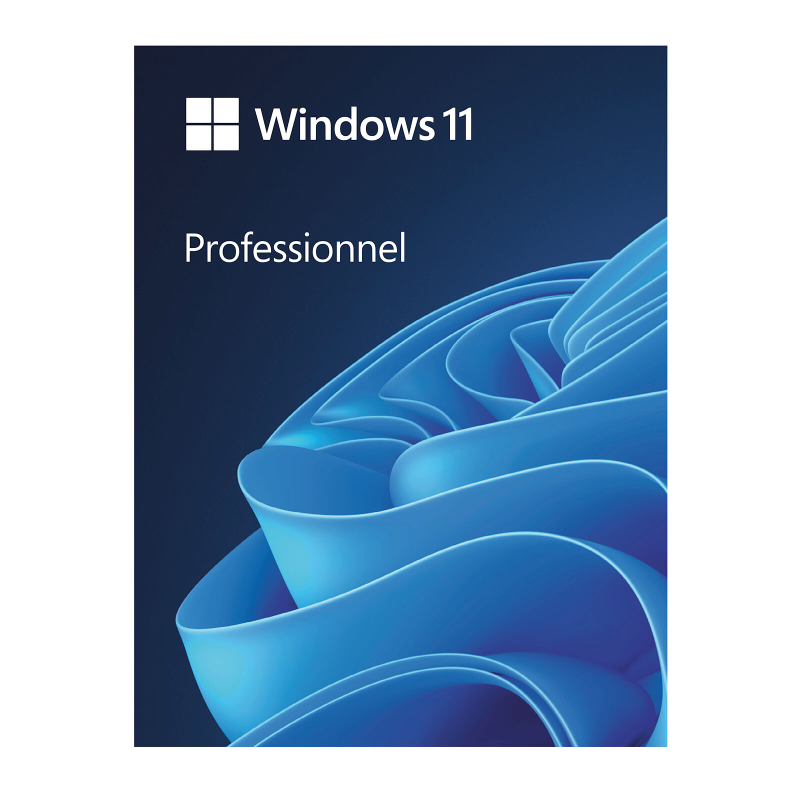 Microsoft Windows 11 Professional 64 bits - OEM (DVD) - Windows - LDLC