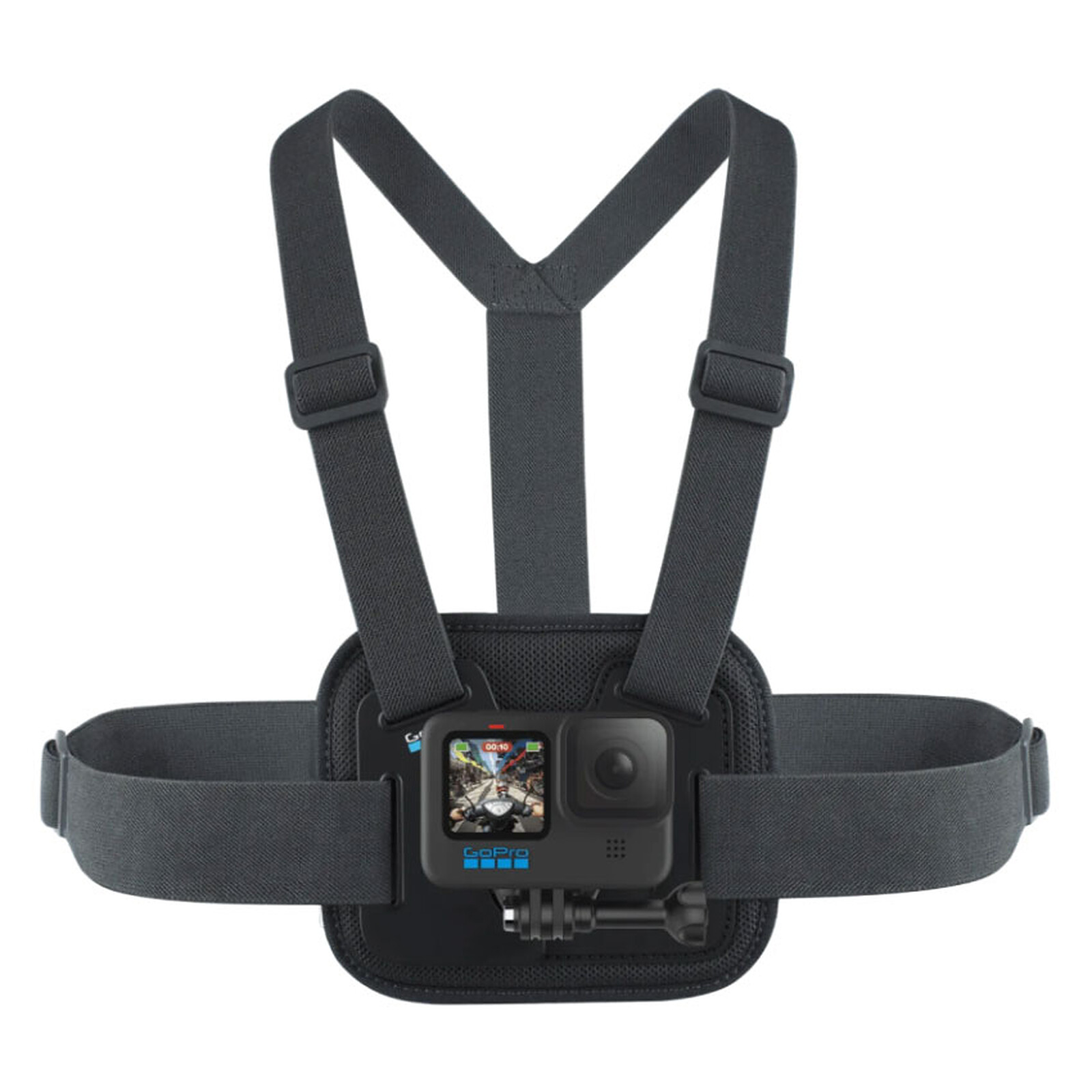 GoPro Extension Pole + Remote - Accessoires caméra sportive - Garantie 3  ans LDLC
