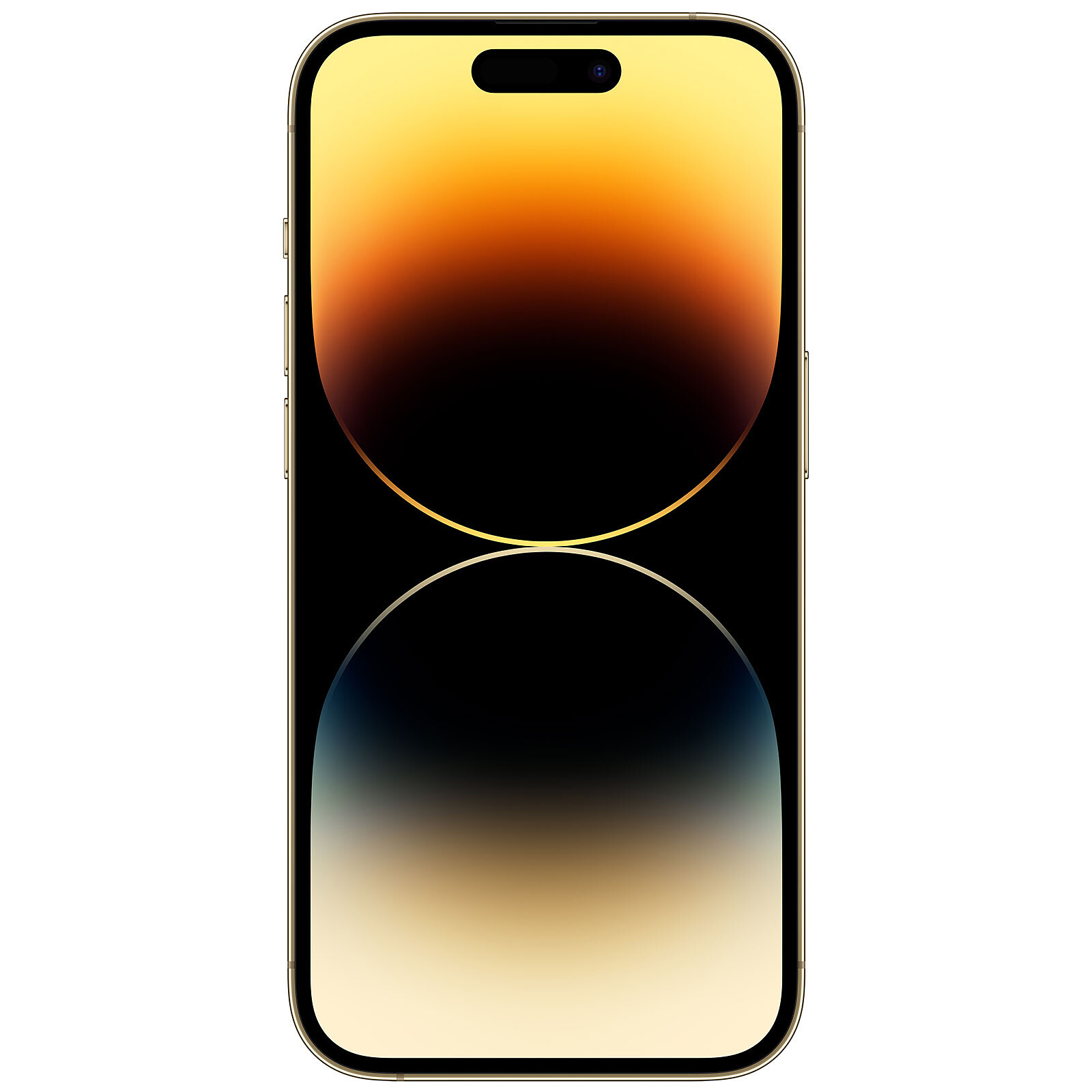 Apple iPhone 14 Pro (256 GB) - Gold : : Electronics