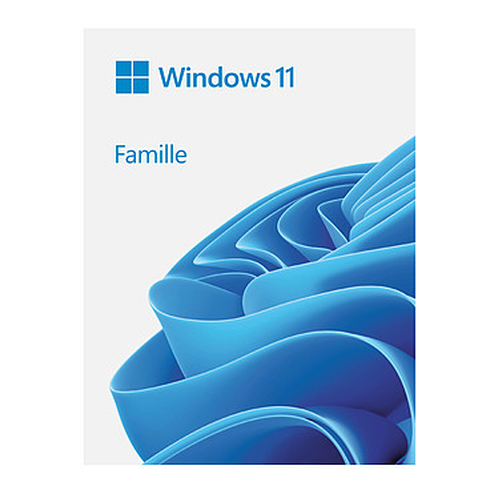 Windows 11 Famille - Licence perpétuelle - 1 PC - A télécharger - Windows -  LDLC