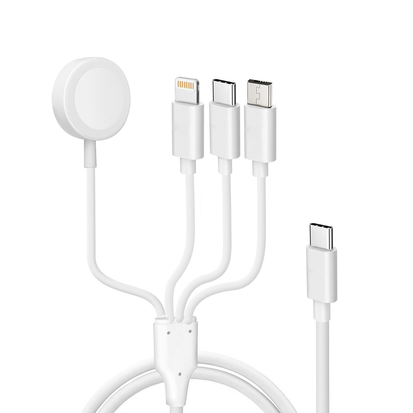 Avizar Câble USB-C vers Lightning, micro-USB, USB-C et Chargeur