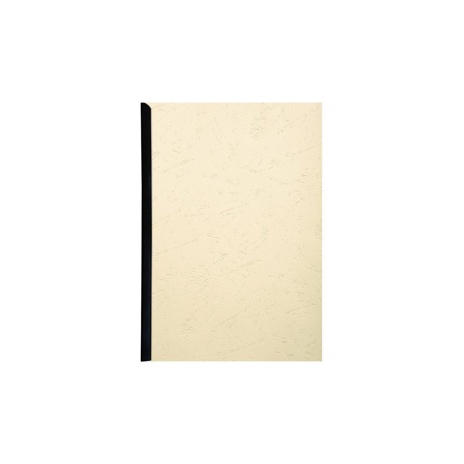 Fellowes - 25 couverture à reliure A4 (21 x 29,7 cm) - 250 g/m²
