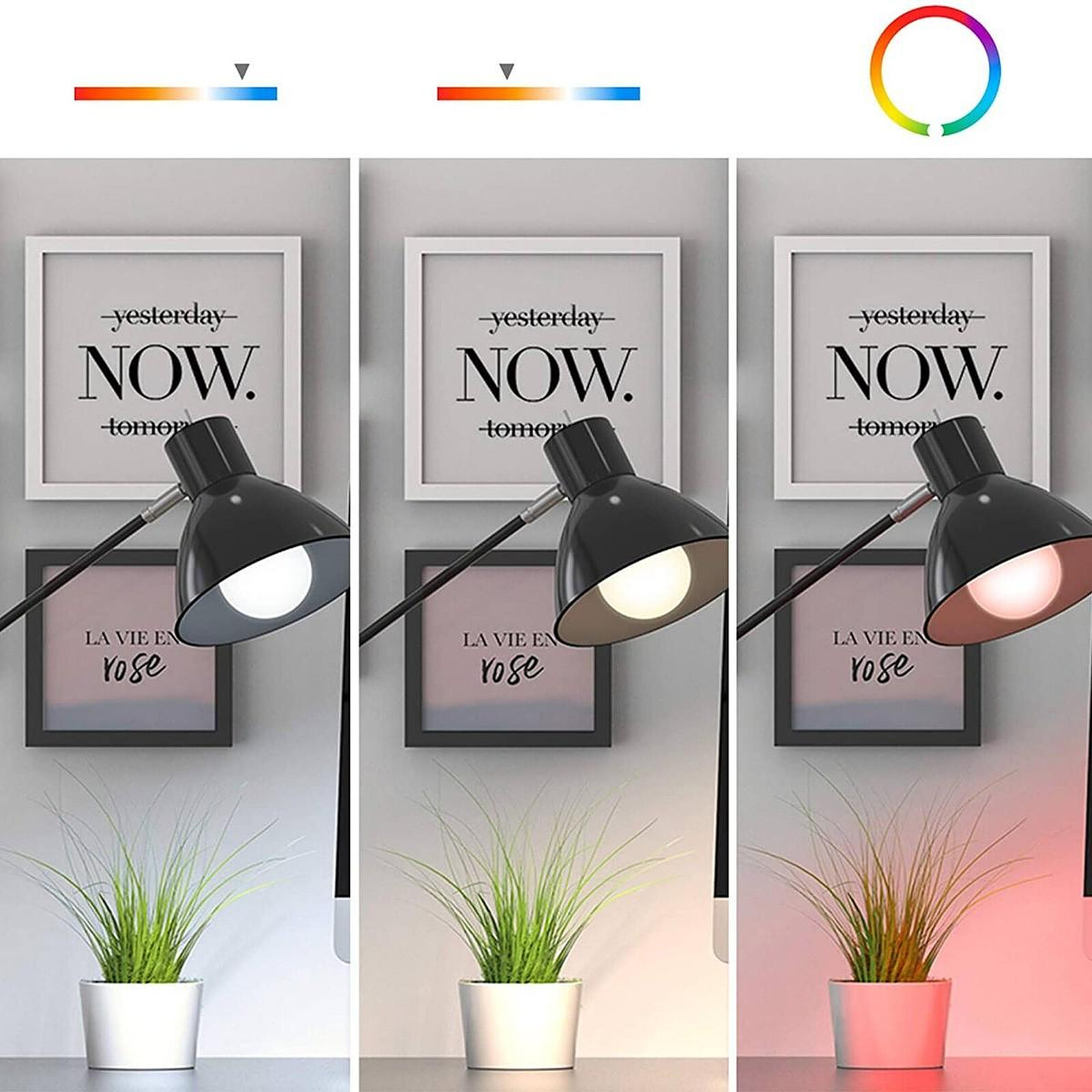 Avidsen - Home Light Ampoule connectée Google Home et Alexa avec variation  de couleurs - Avidsen - Ampoule connectée - LDLC