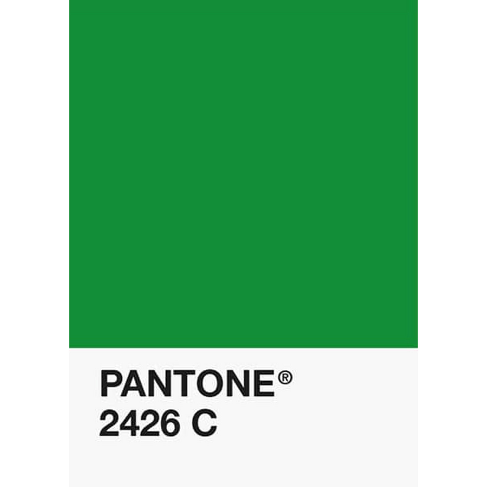 Spectrum - Premium PLA - Vert Citron (Lime Green) - 1.75mm - 1Kg