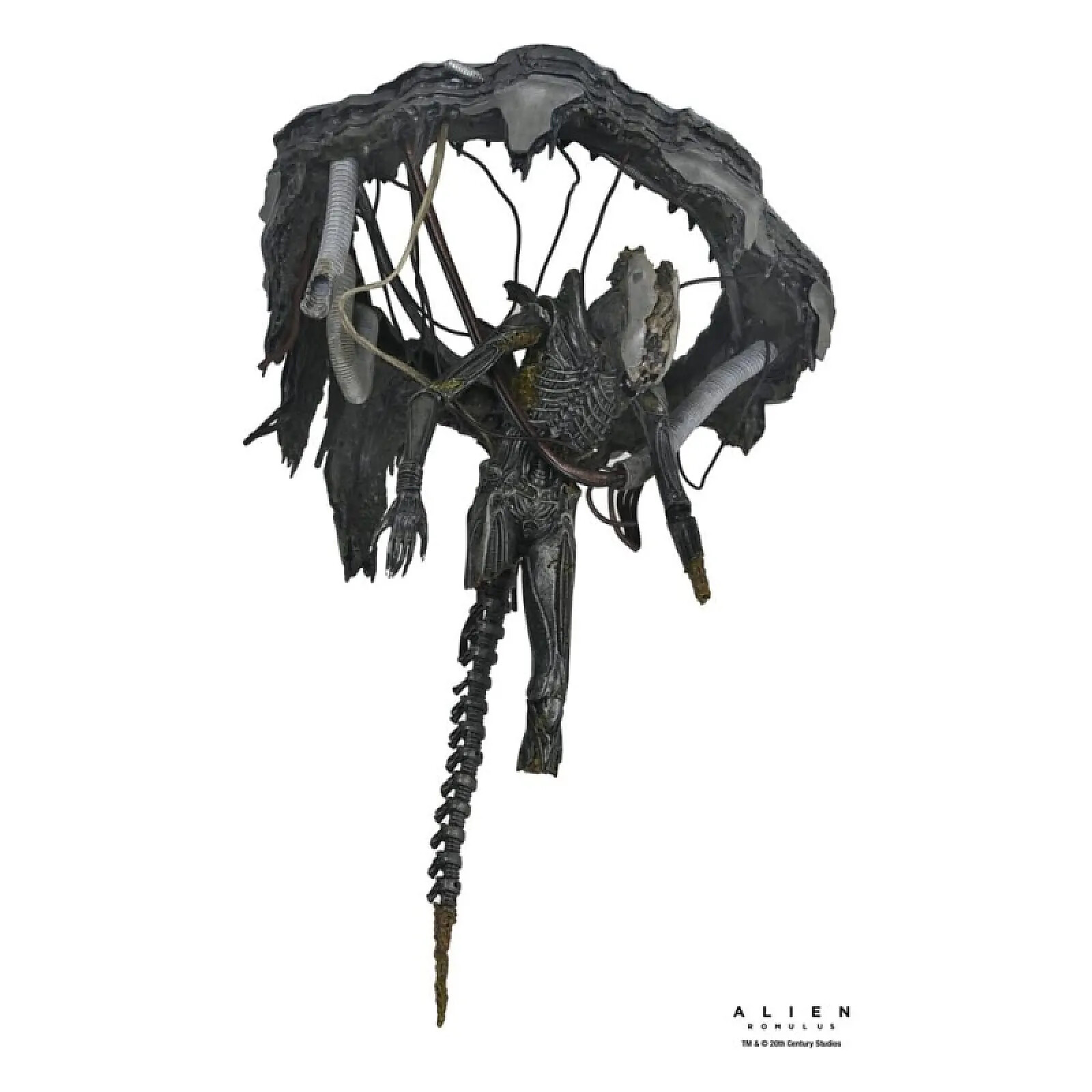 Alien: Romulus - Figurine Deluxe Suspended Lab Xenomorph XX121 18 cm