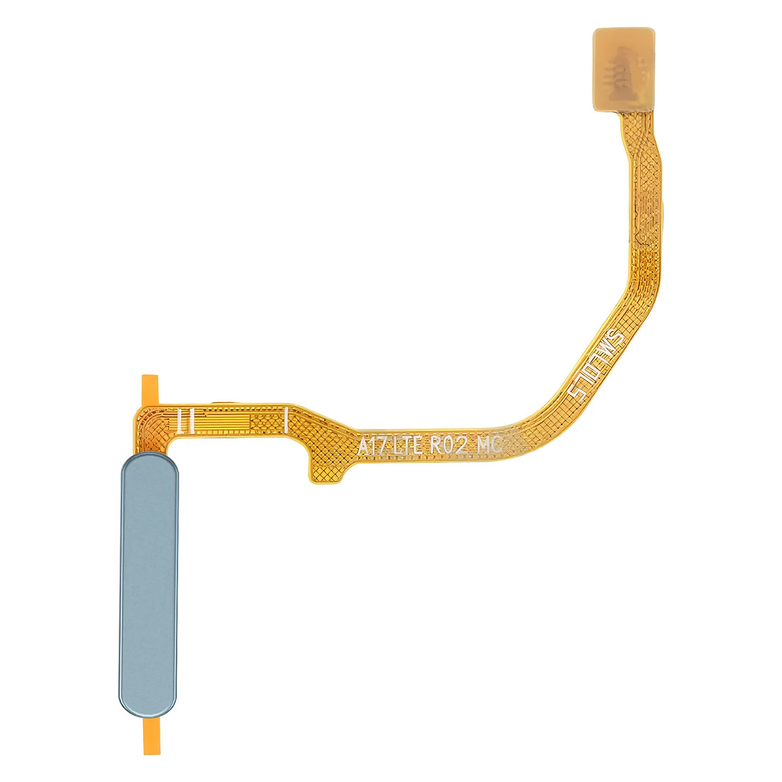 Clappio Lecteur d'Empreinte de Remplacement pour Galaxy A17 4G avec Nappe de Connexion