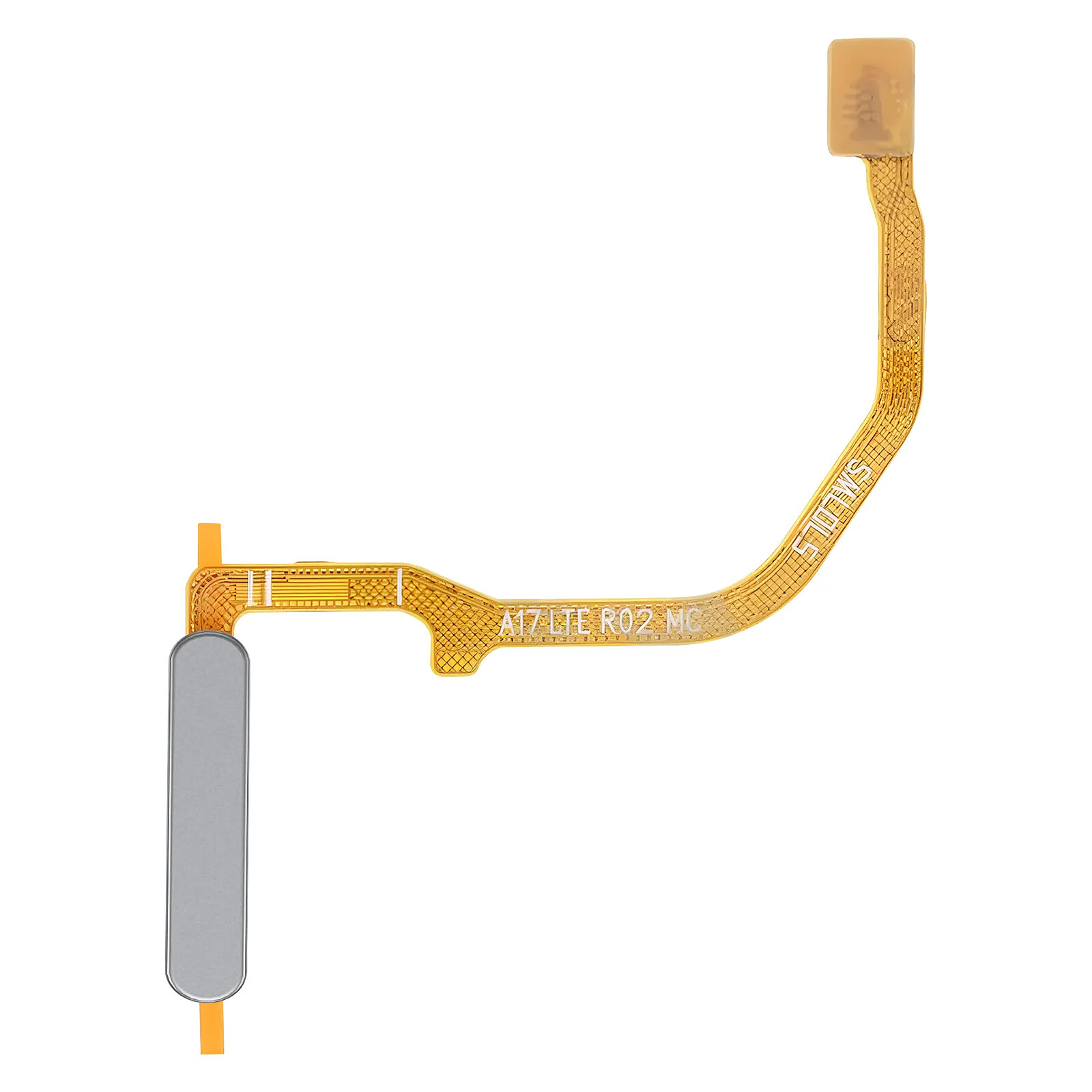 Clappio Lecteur d'Empreinte de Remplacement pour Galaxy A17 4G avec Nappe de Connexion